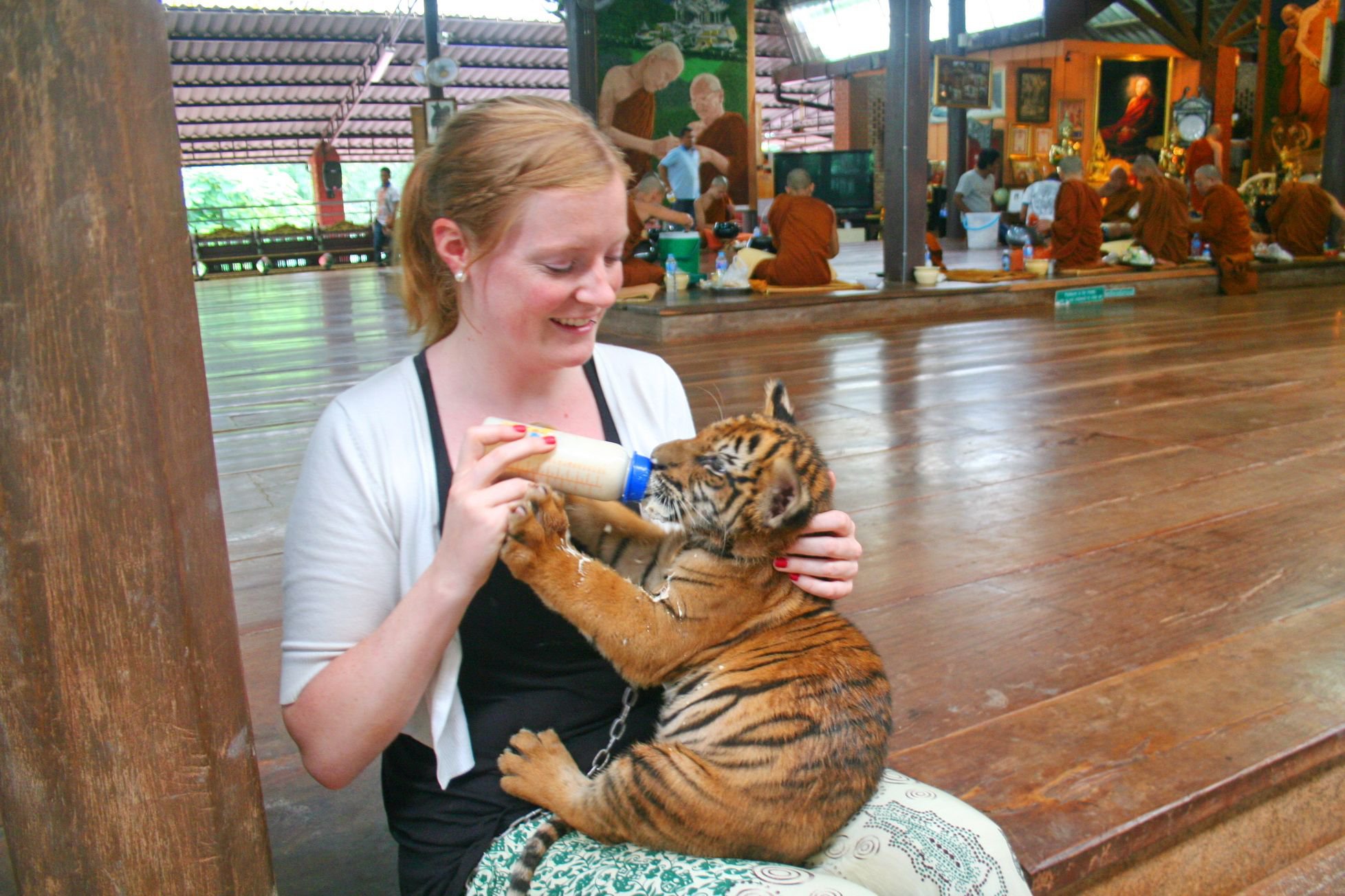 Photos of wild tiger cubs in Thailand rekindles hope for species