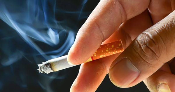 pop filters cigarettes Pop N'Smoke Flavoured Cigarettes | Native Cigarettes | Available In Fruity  Flavours | Safe & Discreet Packaging | Orders Above $100 Ship Free | Easy  Returns And Exclusive Deals