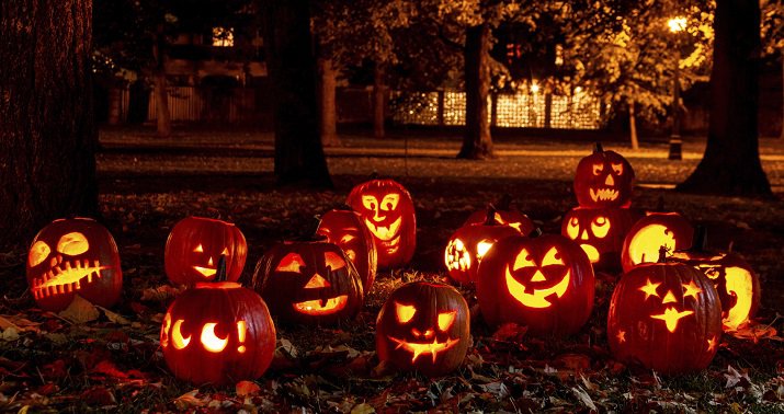 Everything You Need To Know About The Origins Of Halloween And The ...