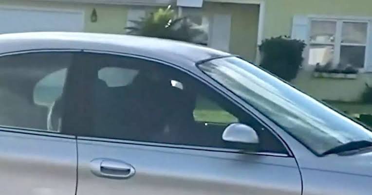 A Dog In Florida Hopped Into A Car Then Reversed It To Drive In Circles ...