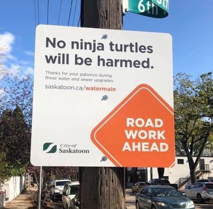 17 Witty Road Signs