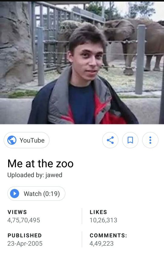 15 Years Ago The First Ever Youtube Video Titled Me At The Zoo Was