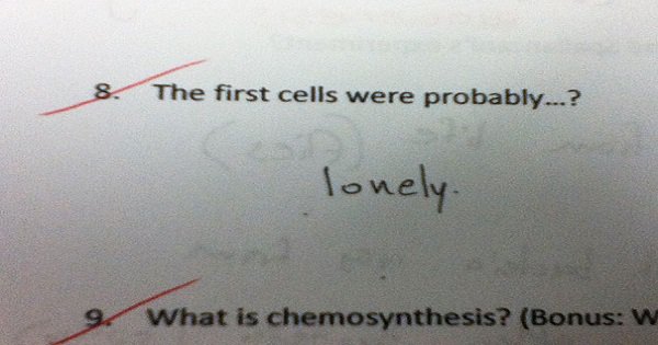 21 Funniest Things Students Have Written In Exams That Will Make You Go ...