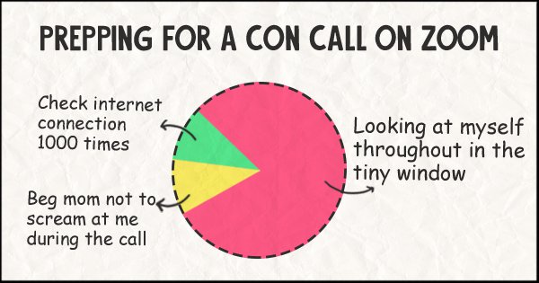 13 Honest Pie Charts That Brutally Explain Your Quarantine, Work From Home  Sate Of Mind