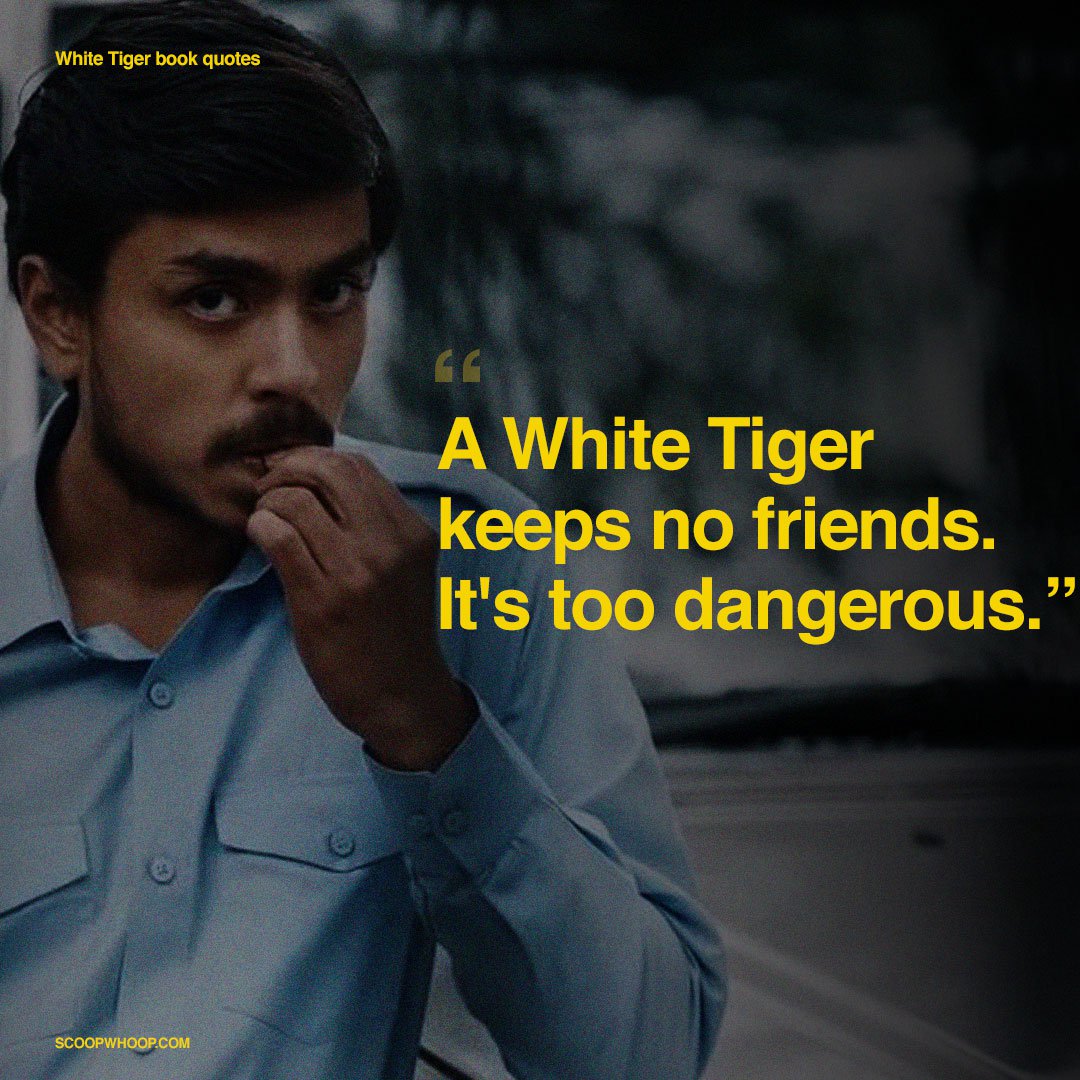 15 Quotes From Aravind Adiga s The White Tiger That Could Make The 15 Quotes From Aravind Adiga s The White Tiger That Could Make The