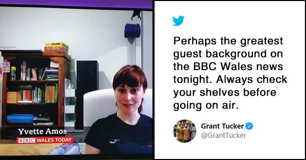 One More Live Bbc Interview Goes Viral After Twitter Spots A Sex Toy Behind The Guest 4941