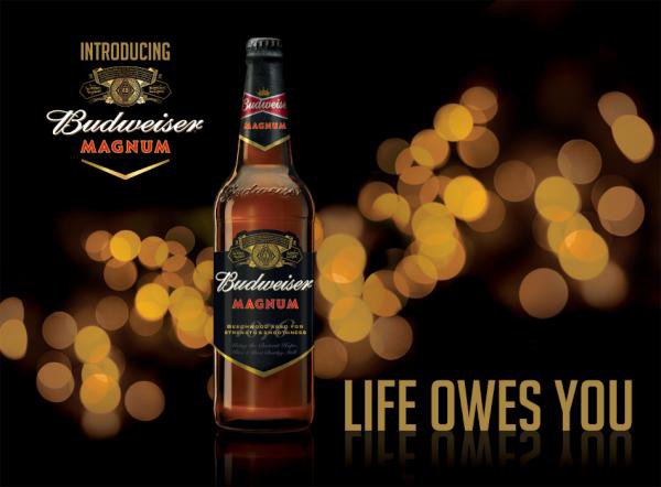 Budweiser Magnum Alcohol Percentage - 6.5% ABV