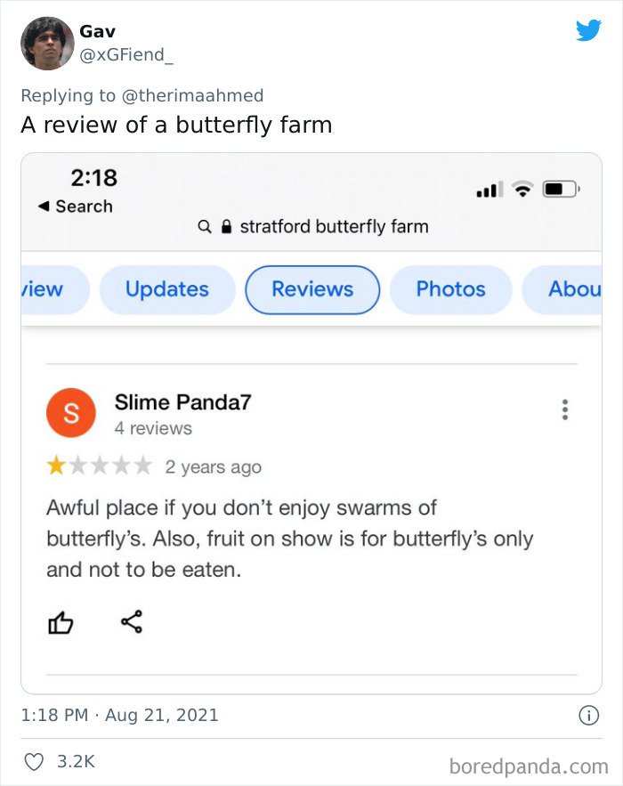 27 Google Reviews That Are So Bizarre You'll Forget What The Product Was