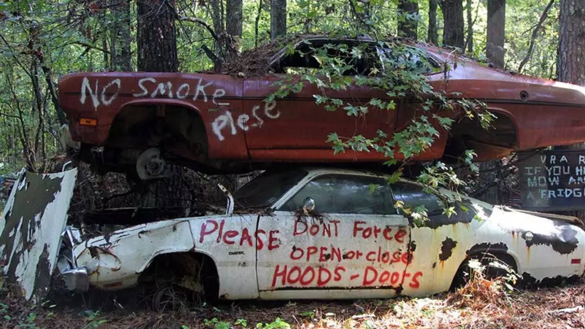 Abandoned Rare Cars