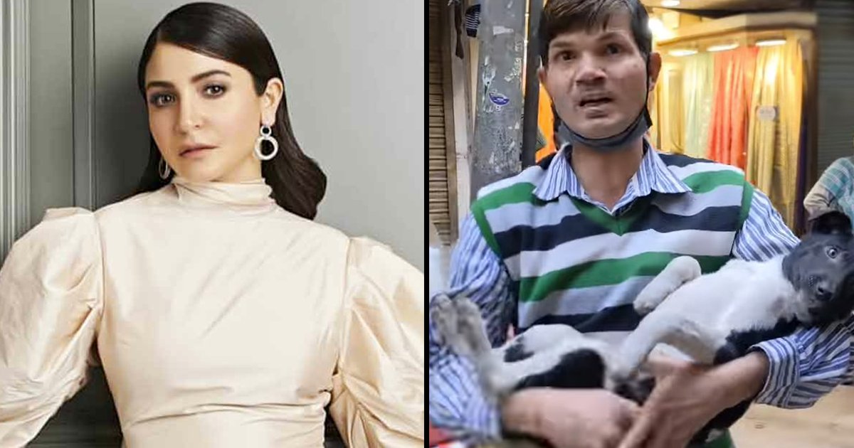 Anushka sharma defends man being labeled ‘pagal’ for rescuing a street dog - scoopwhoop