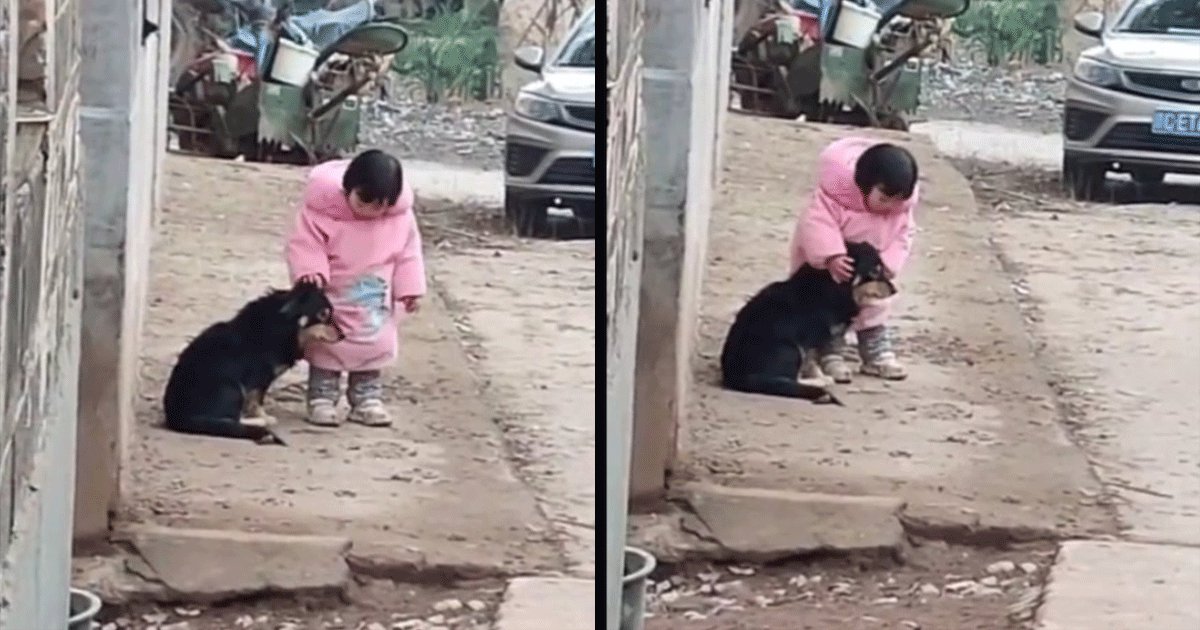 Watch: wholesome video of kid protecting her doggo from fireworks by covering its ears - scoopwhoop
