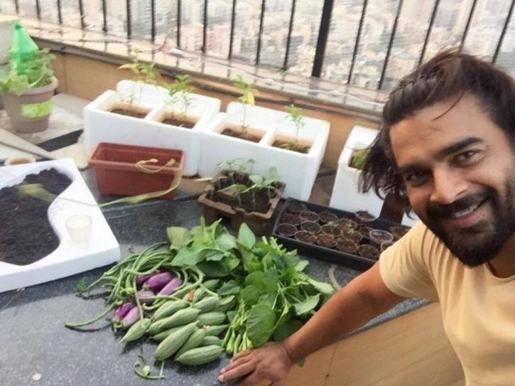R Madhavan And 10 Other Indian Actors Who Took Up Farming As A ...