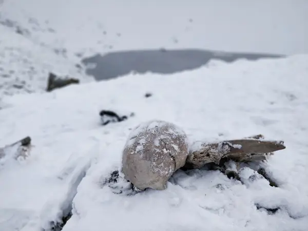 bizarre skeleton lake