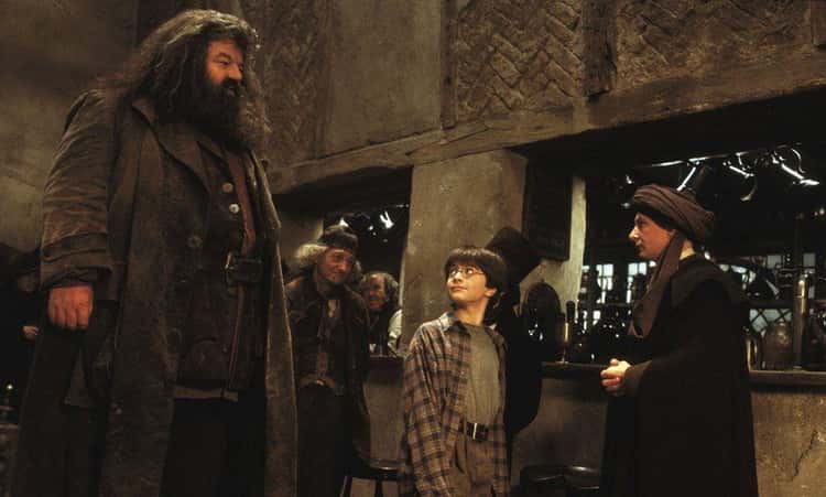 8 Of Rubeus Hagrid Quotes From Harry Potter