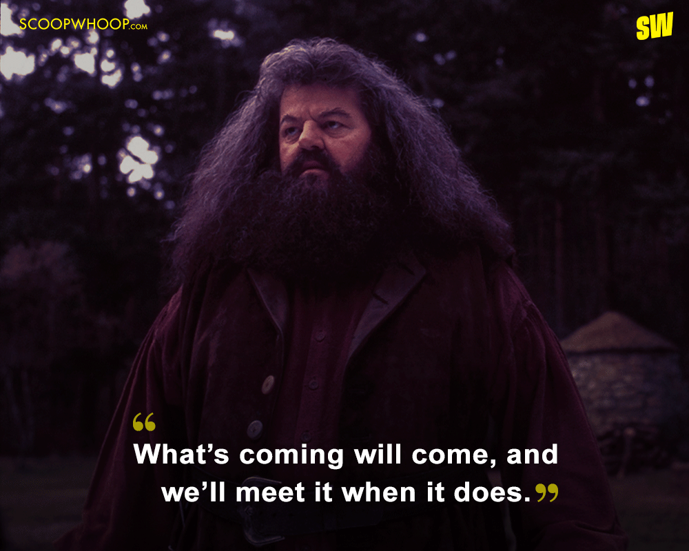 8 Of Rubeus Hagrid Quotes From Harry Potter