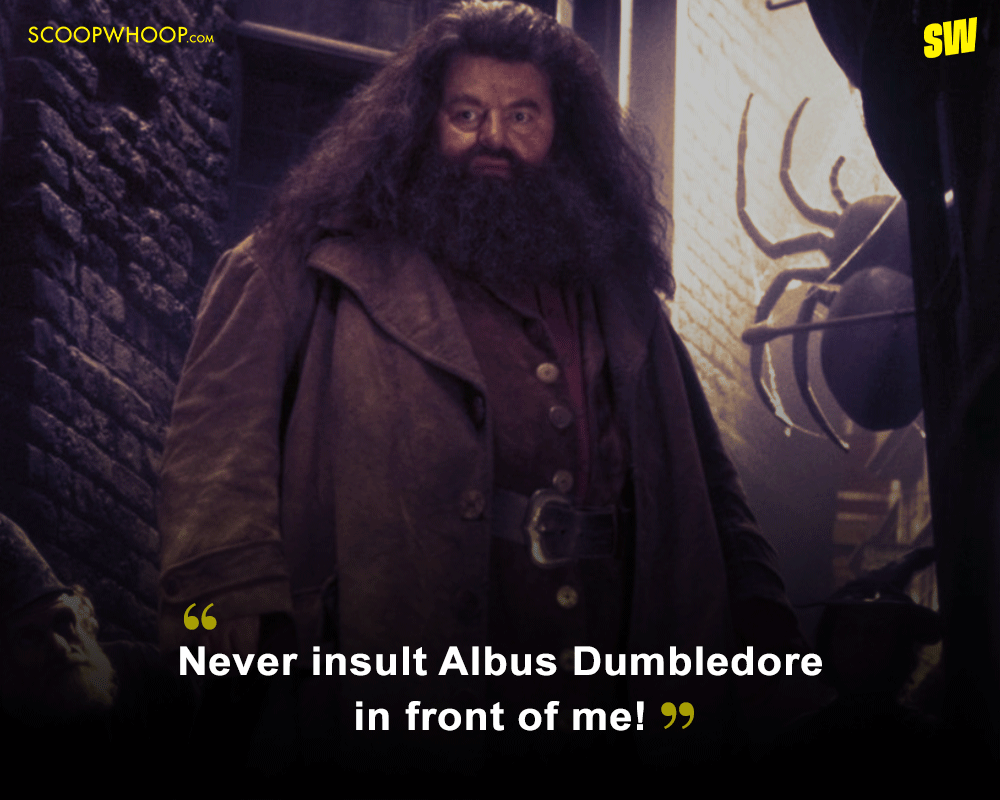 8 Of Rubeus Hagrid Quotes From Harry Potter