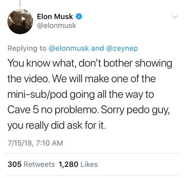 Elon Musk bizarre
