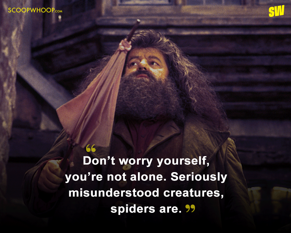 8 Of Rubeus Hagrid Quotes From Harry Potter