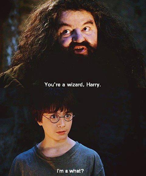 Harry Potter Hagrid