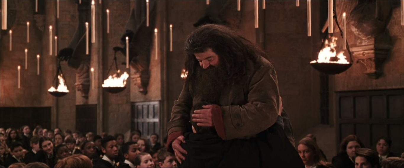 Robbie Coltrane As Hagrid In The Harry Potter Movies