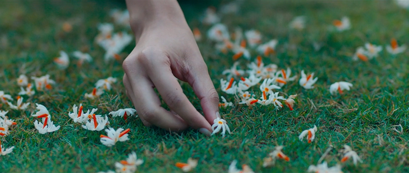 Shiuli flowers