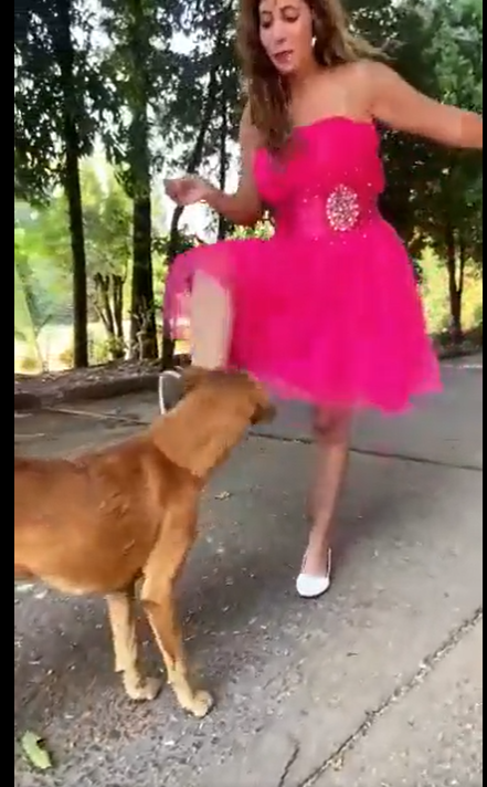 Called Out For Kicking A Dog For A Video, Influencer Apologises, Claims  She's An Animal Lover | ScoopWhoop