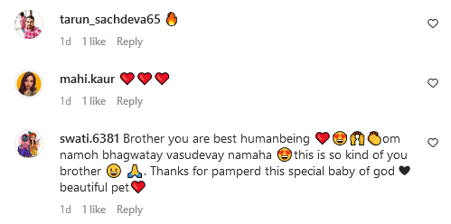 Instagram comments on groom's wedding entry with pet dog