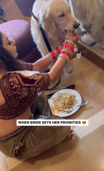 Bride, Dog