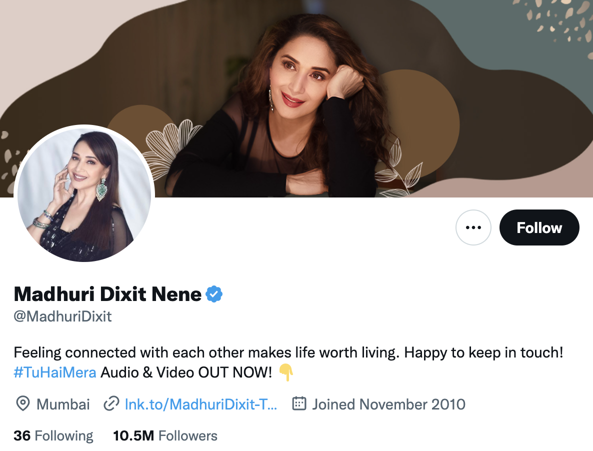 madhuri dixit twitter bio