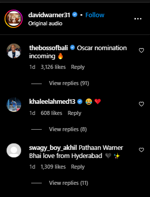 SRK David Warner Pathaan