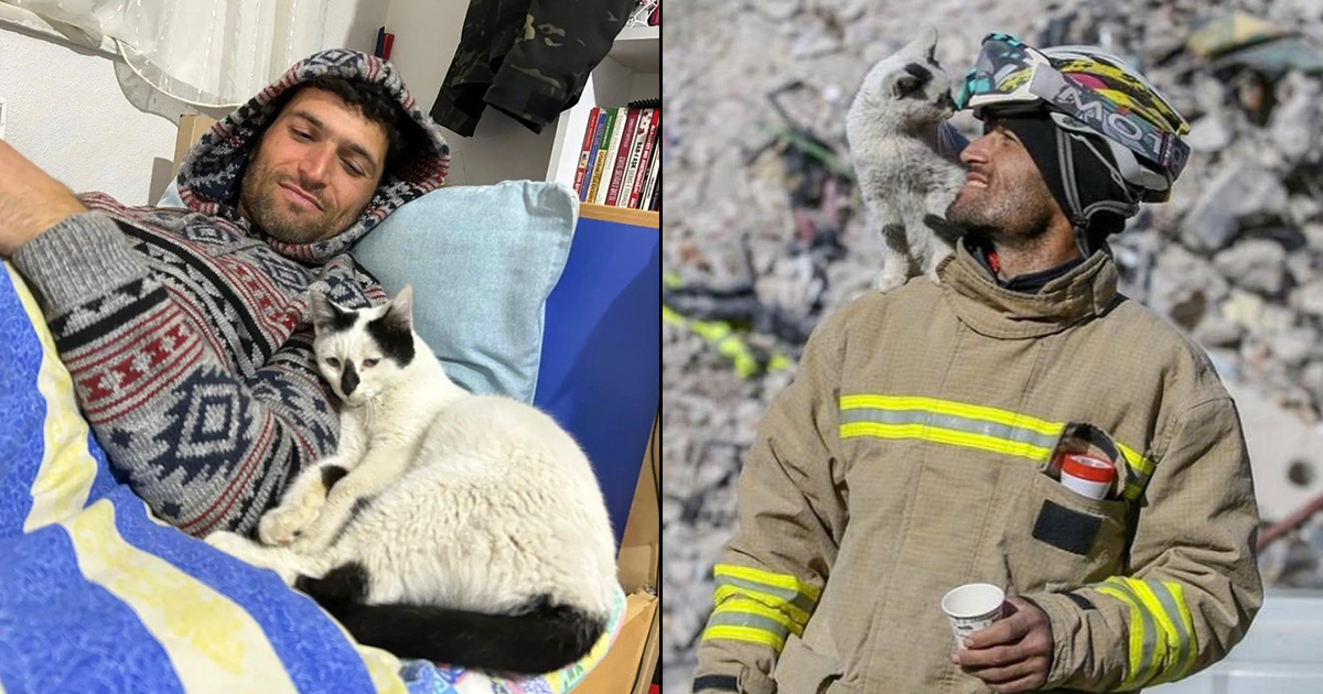 Türkiye’de depremden kurtarılan kedi, onu kurtaran kişi tarafından sahipleniliyor.  Ah Kalbim!