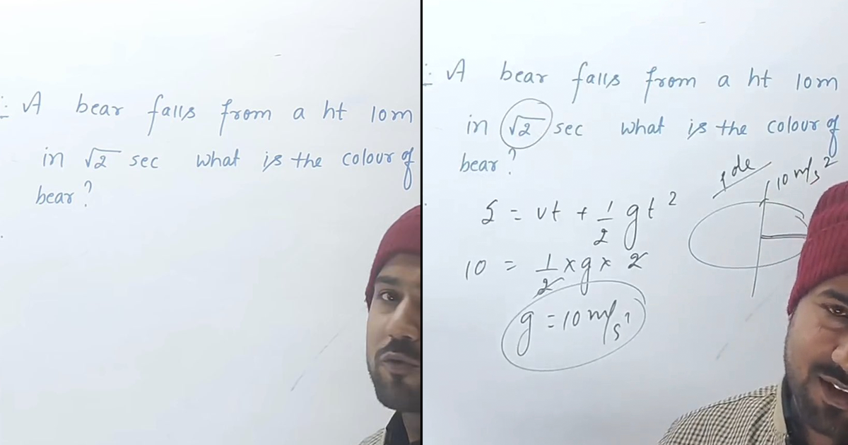 Teacher Uses An Equation To Calculate The Colour Of A Bear