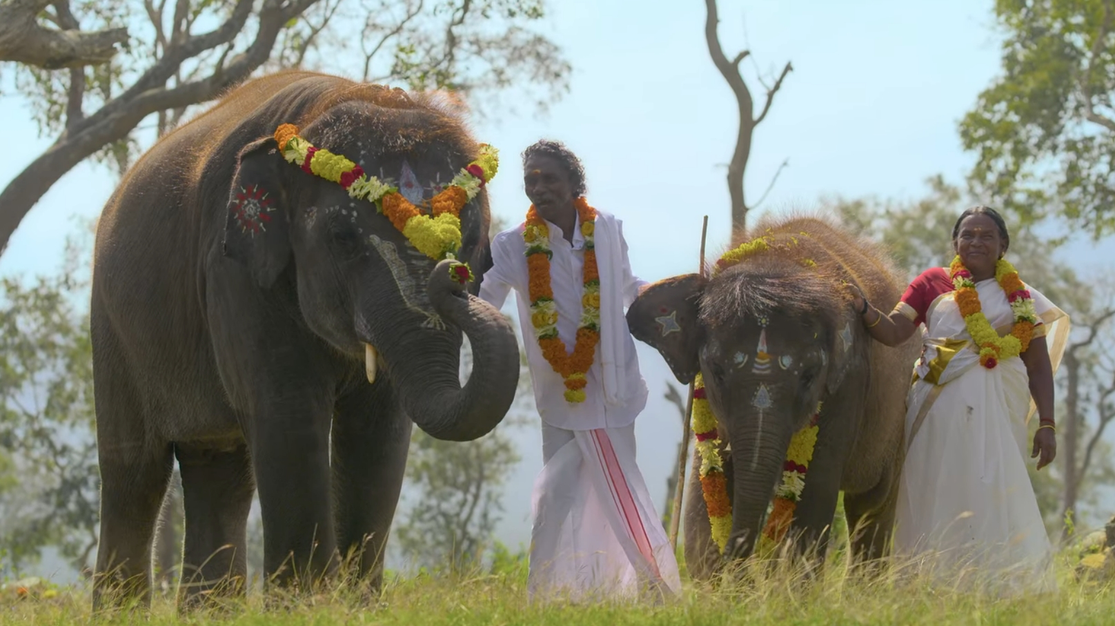 the elephant whisperers oscars