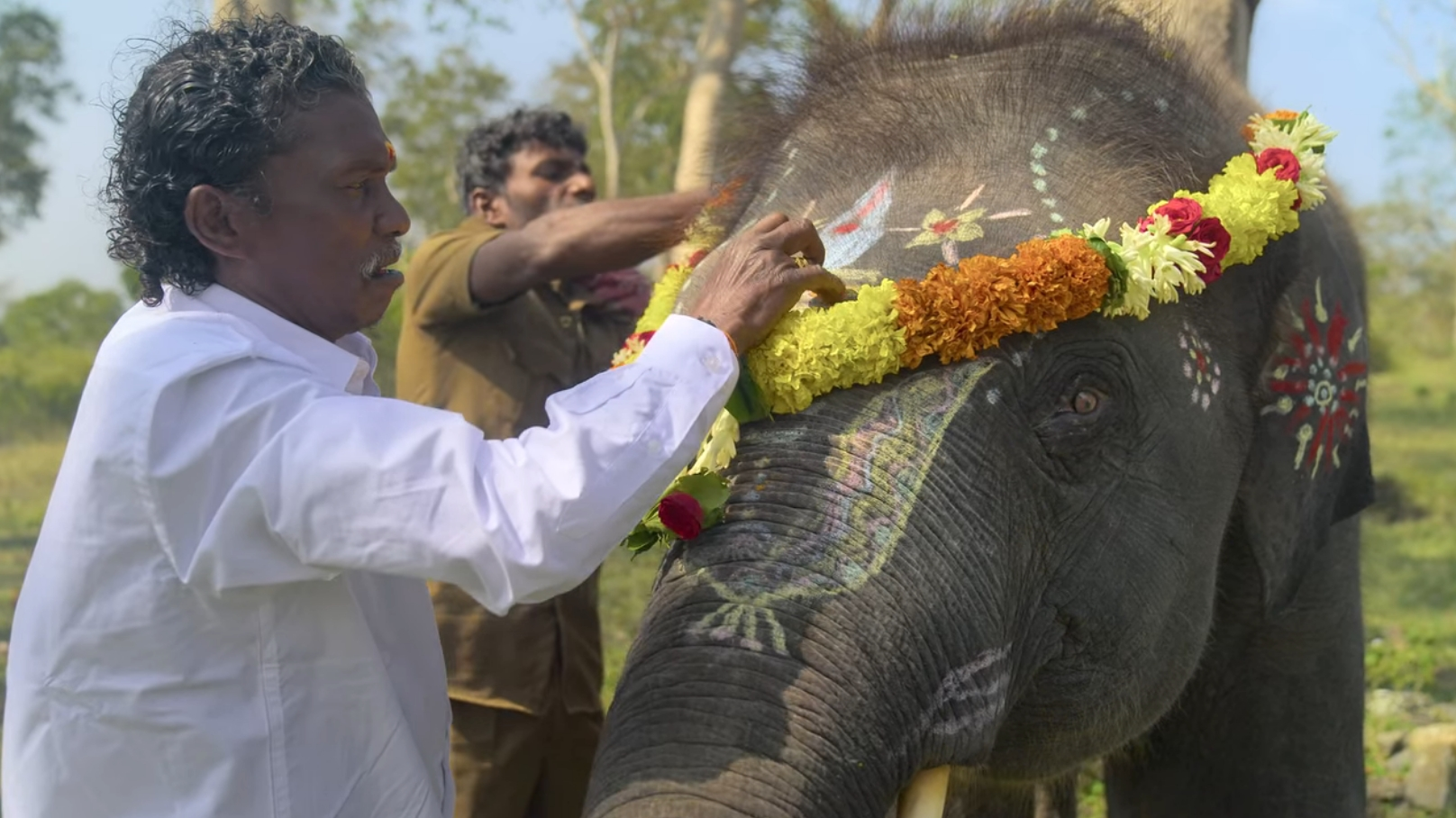 the elephant whisperers oscars