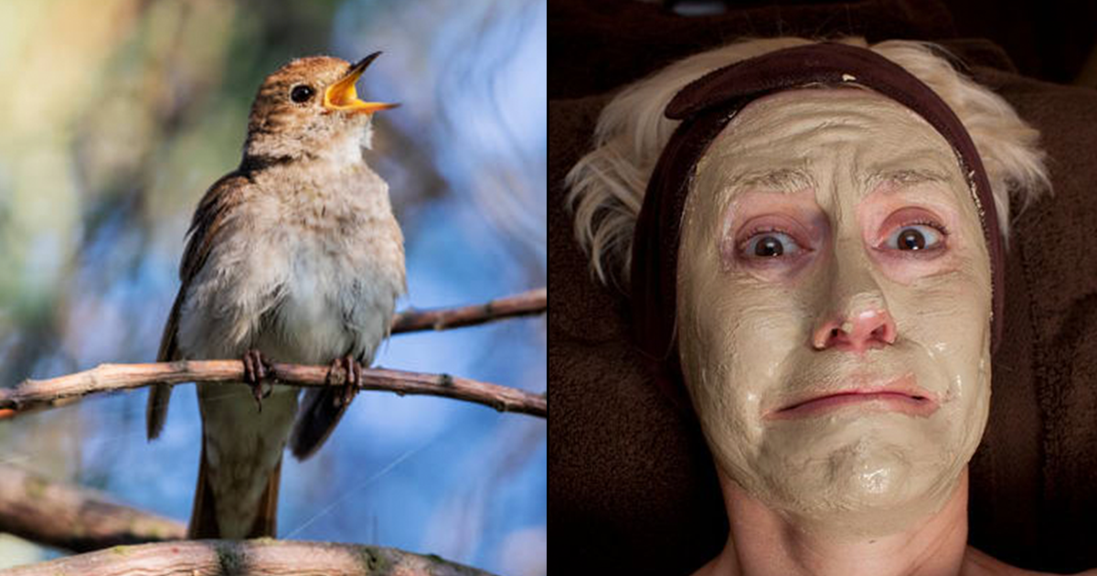 There Is A Bird Poop Facial & People Are Paying ₹18K For It