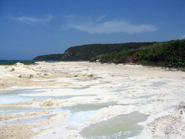 jamaican stolen beach
