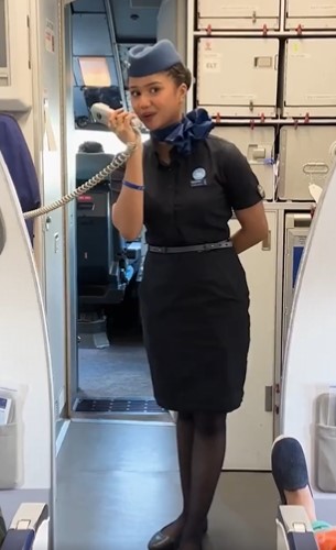 cabin crew viral