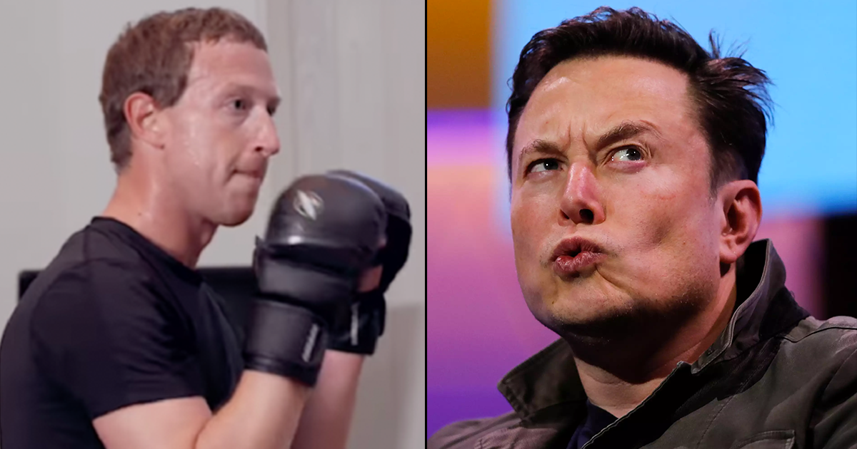 Elon Musk And Mark Zuckerberg Are Having A Cage Fight 5668