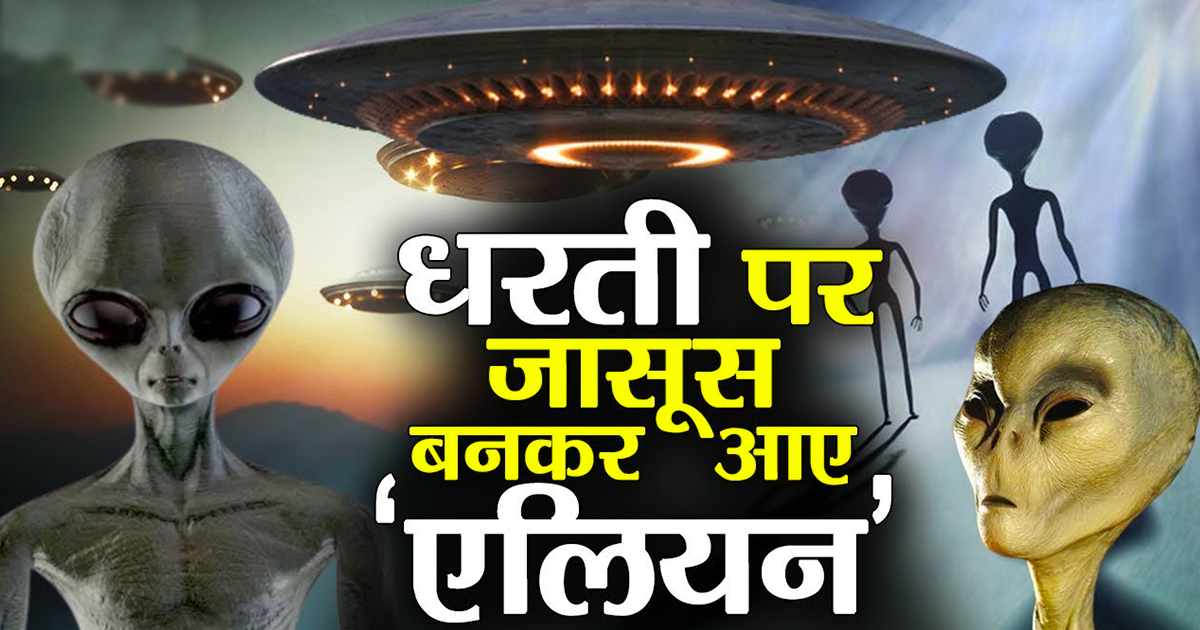 WTF News