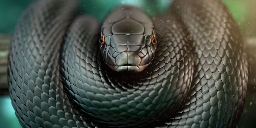 Interesting facts about the snakes