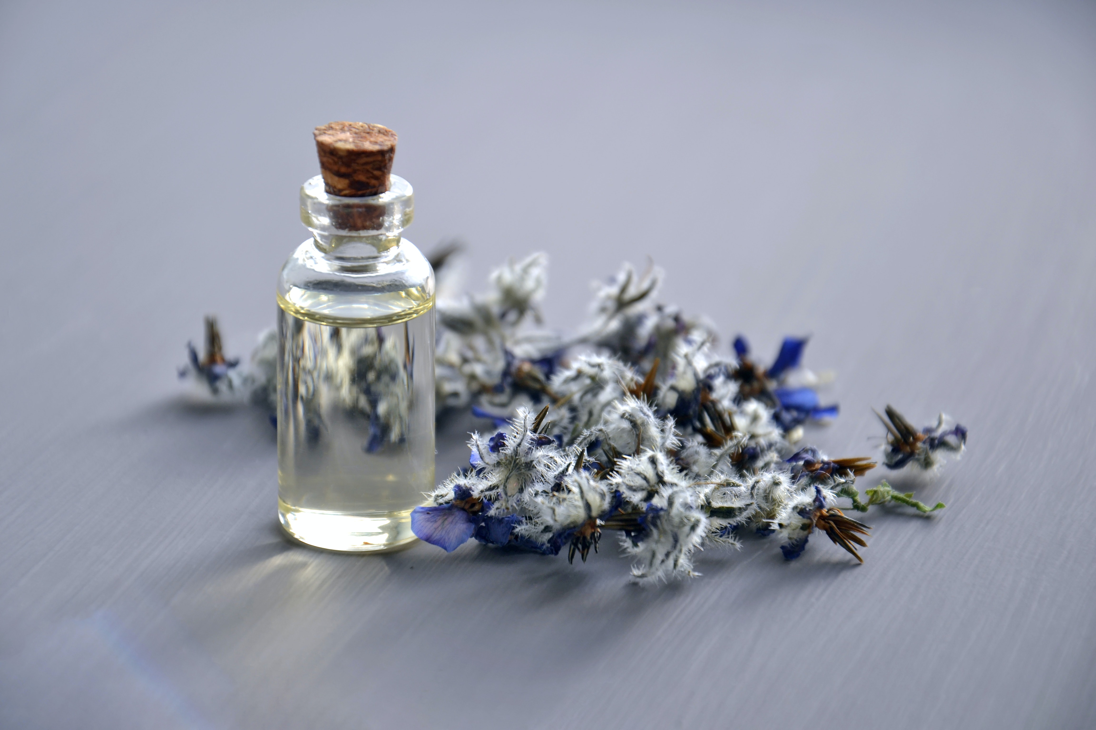 Lavender Oil