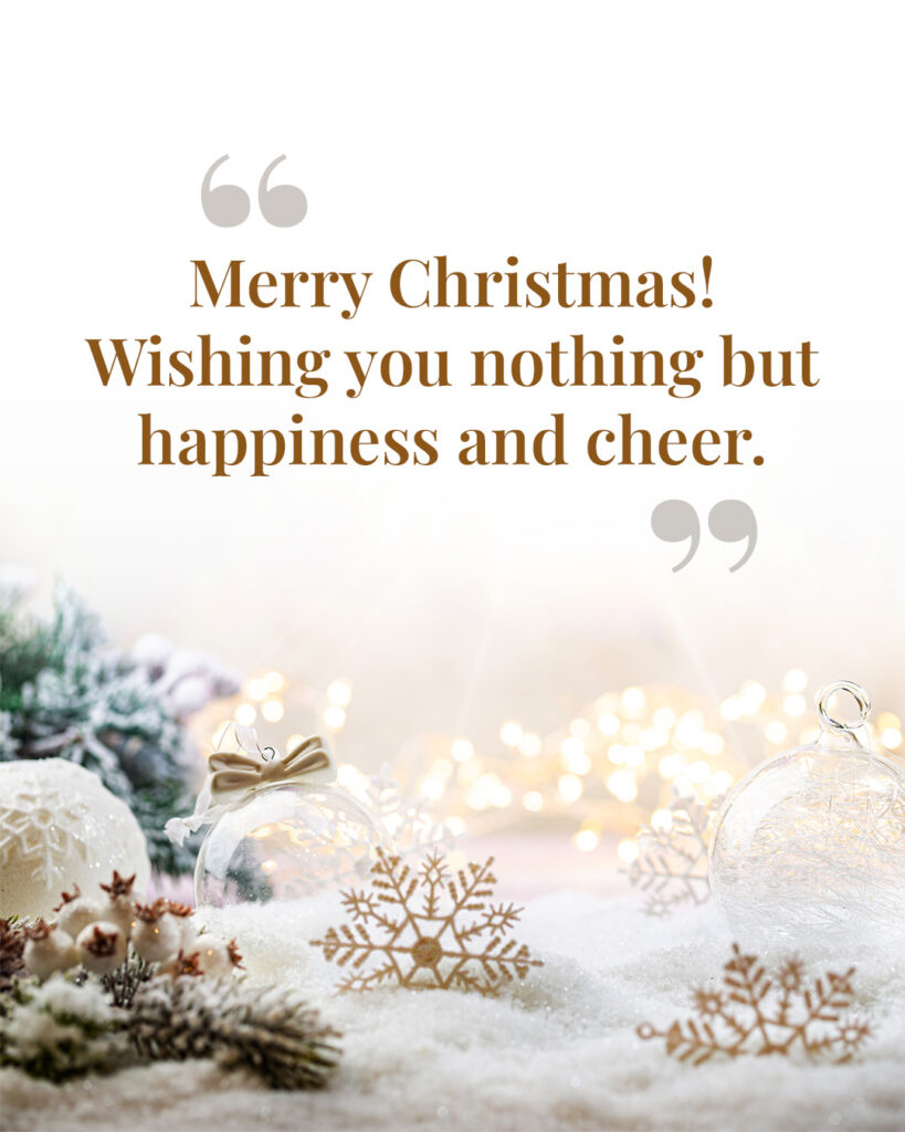 Merry Christmas Quotes