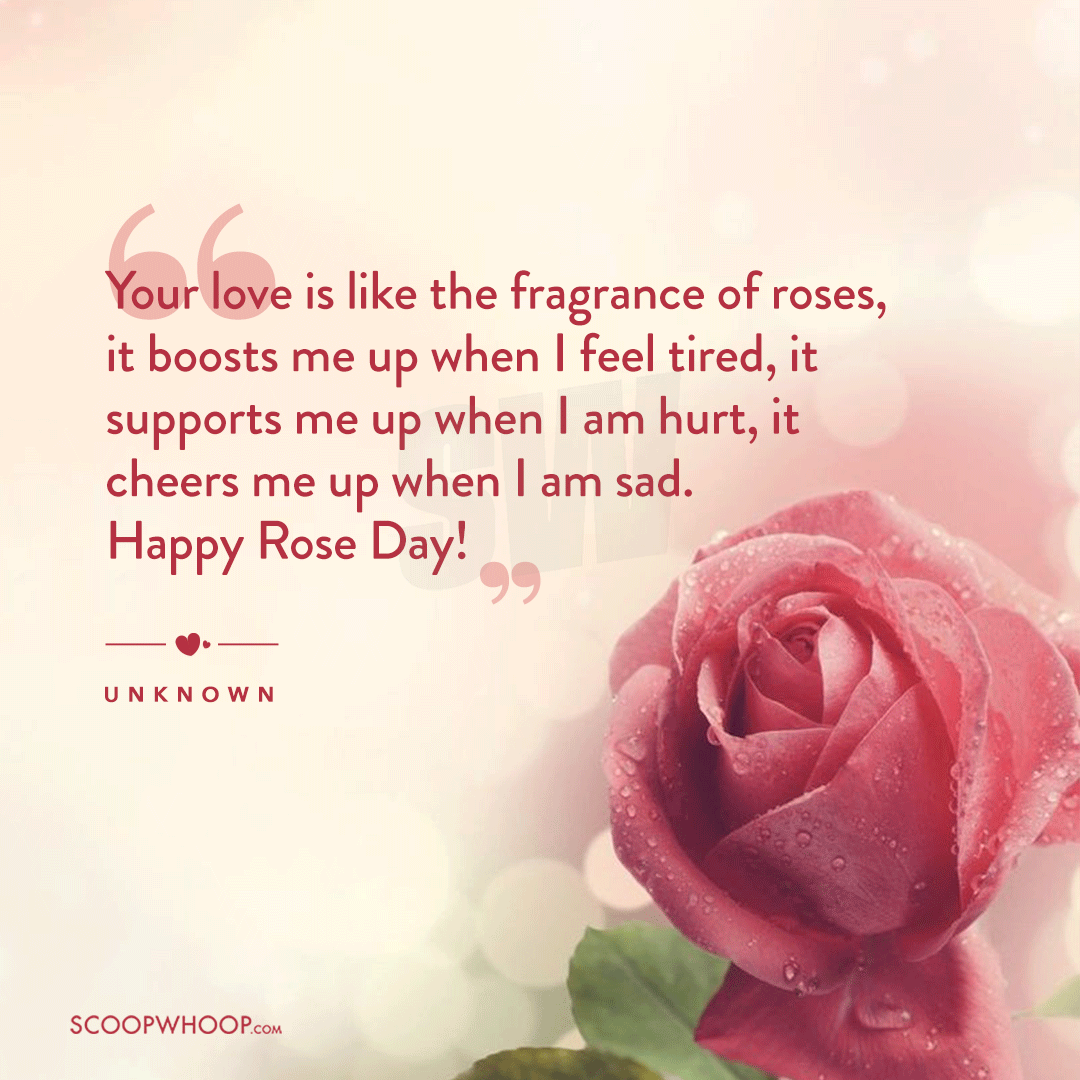 Happy Rose Day Quotes