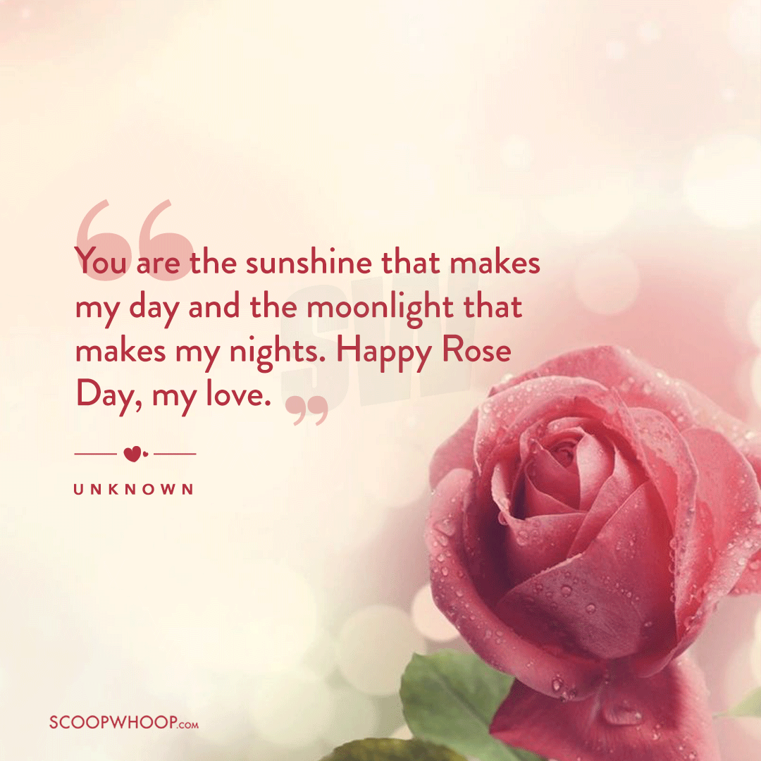 Happy Rose Day Quotes