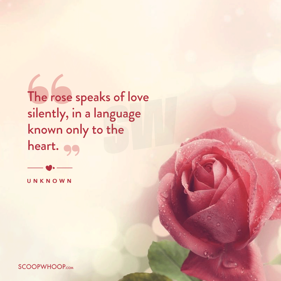 Happy Rose Day Quotes