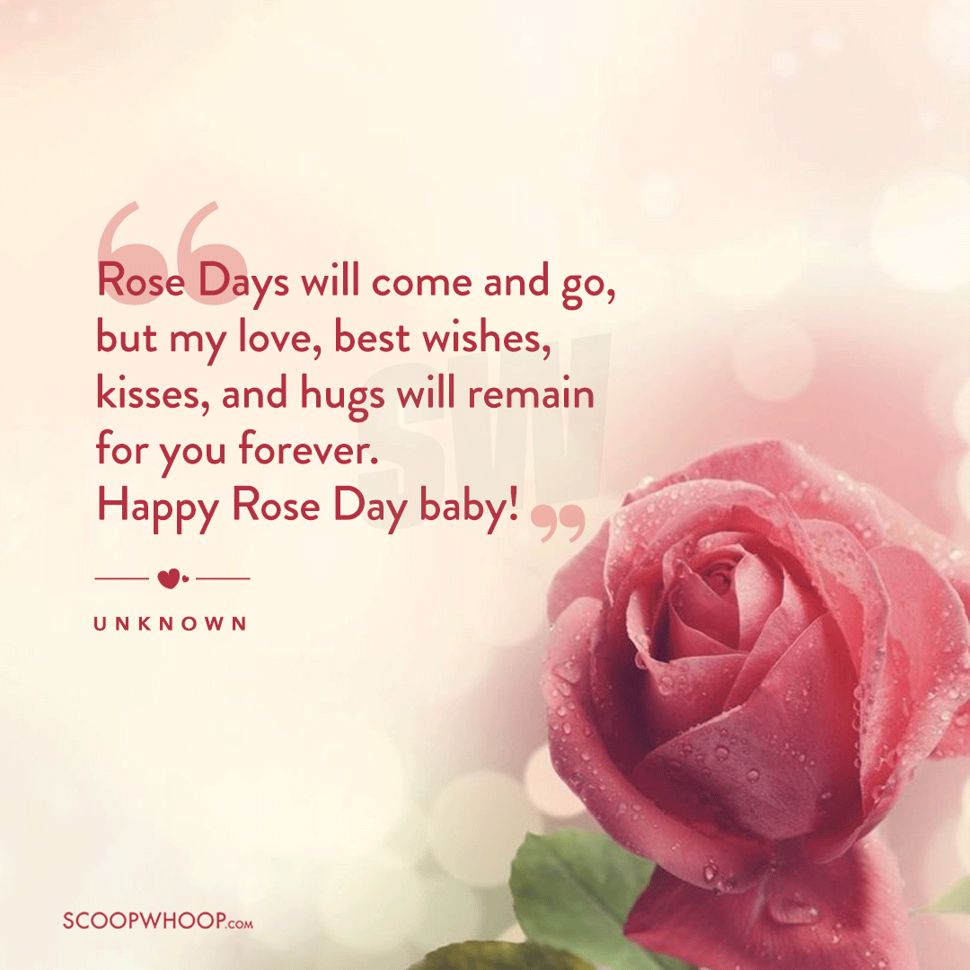 Happy Rose Day Quotes