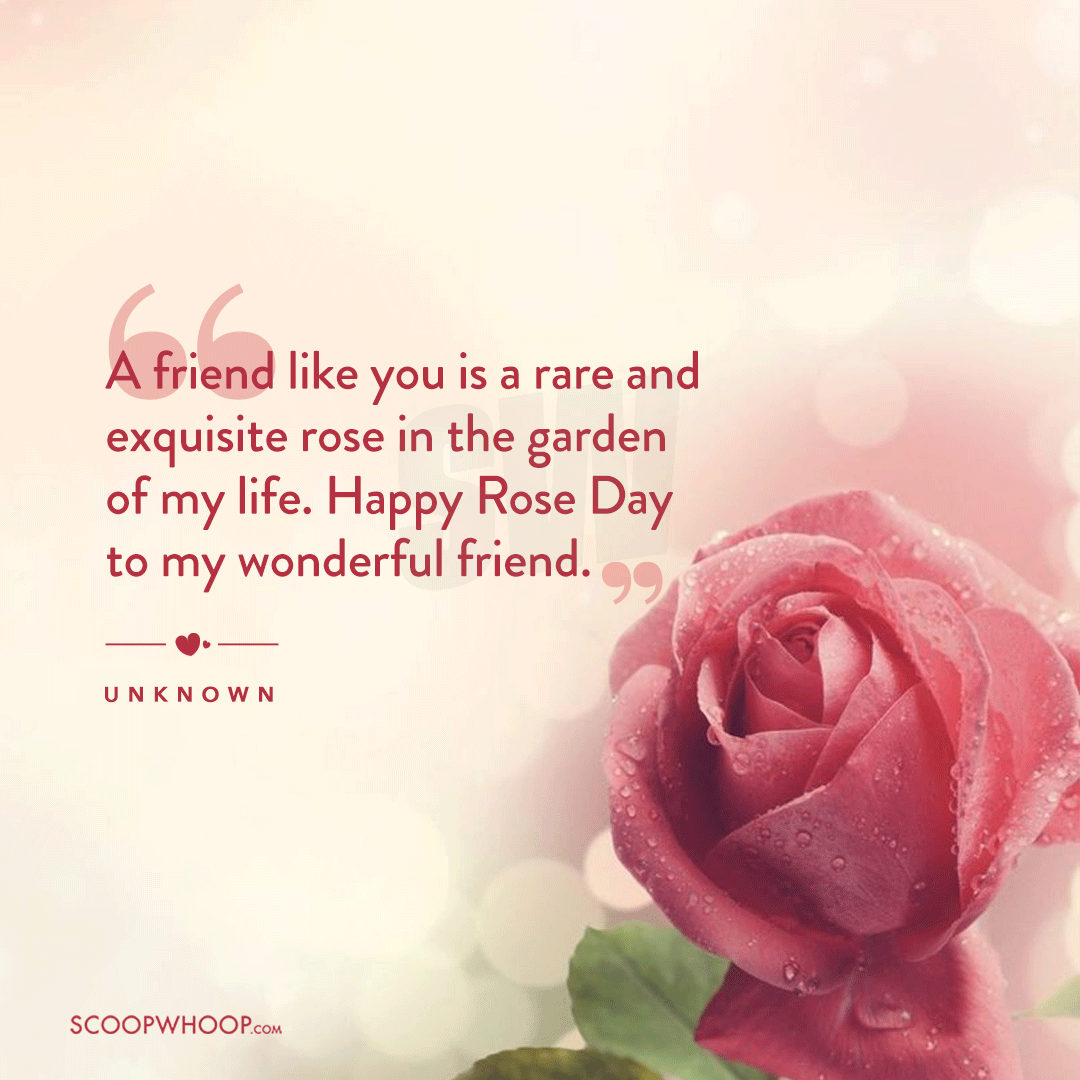 Happy Rose Day Quotes