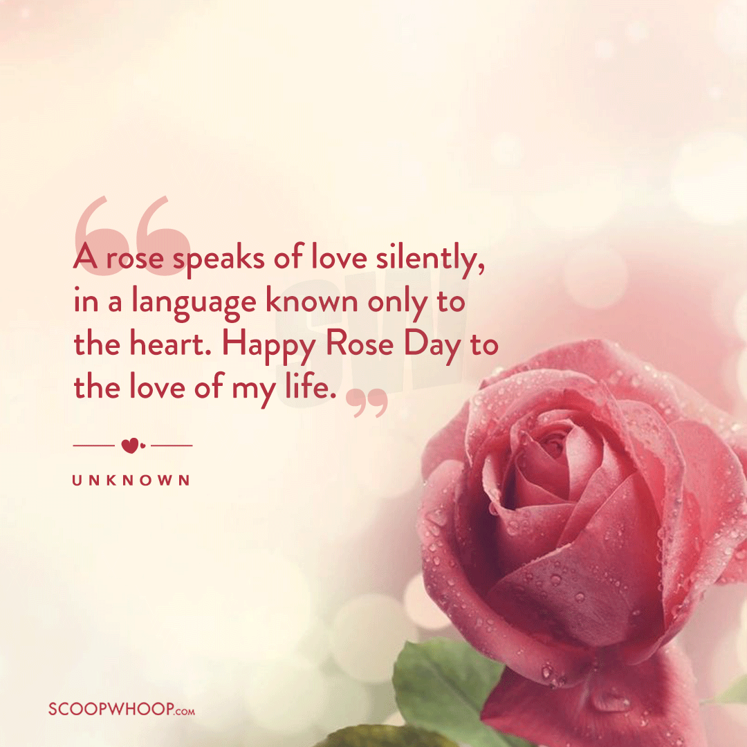 Happy Rose Day Quotes