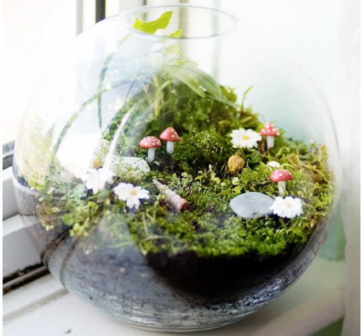 DIY terrarium homemade mothers day gifts