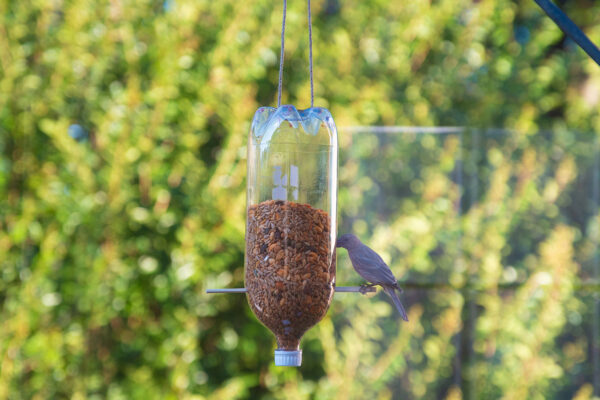 DIY bird feeder homemade mothers day gifts